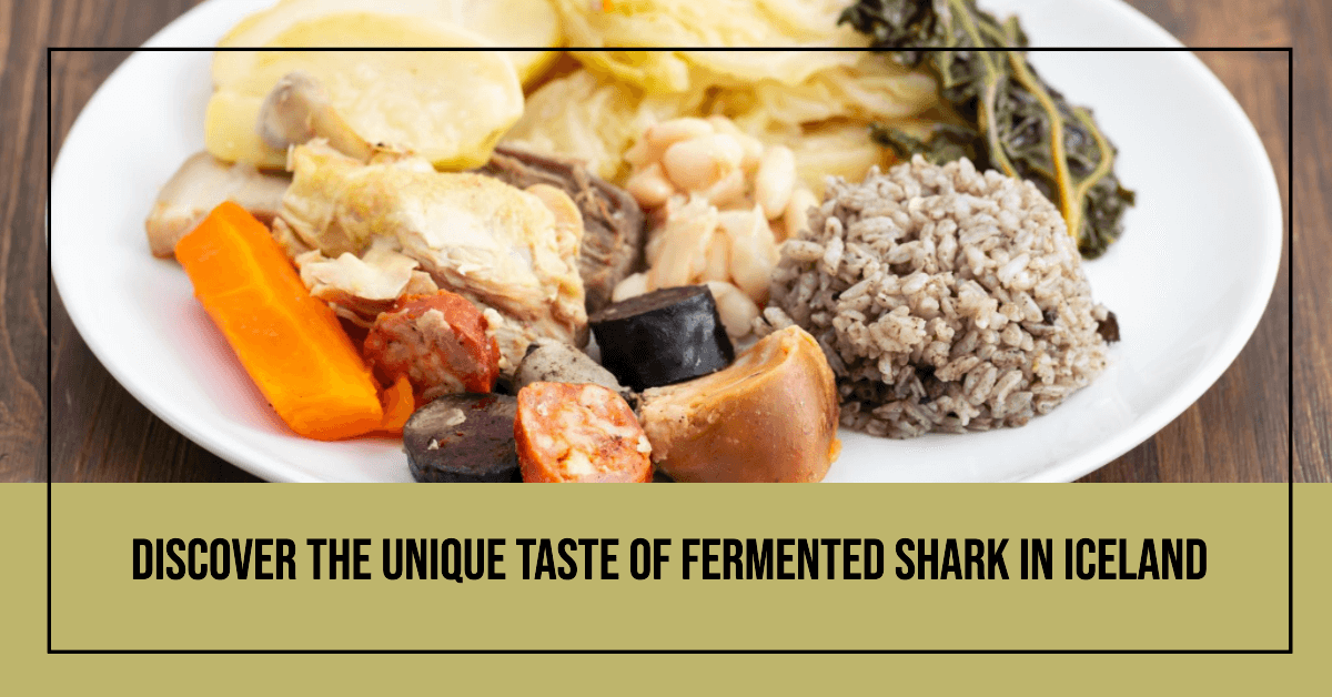 Discover the Unique Taste of Fermented Shark in Iceland